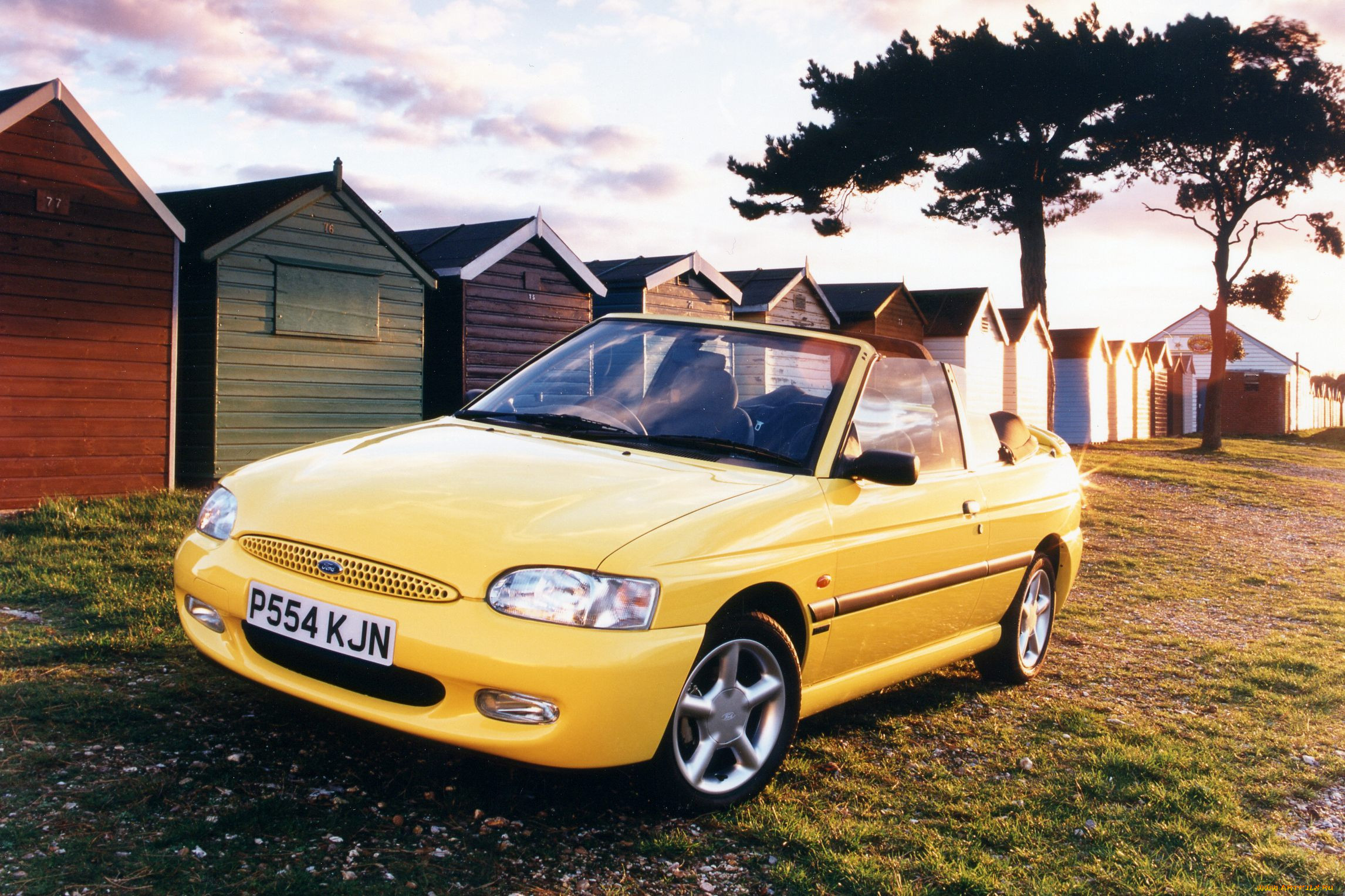 , ford, auto